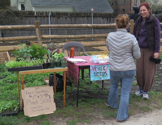 As part of Earth Day, the gardeners offered free seeds and plants for sale.